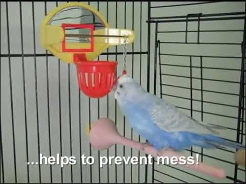 Load and play video in Gallery viewer, Birdie Basketball ActiviToys Bird Toy
