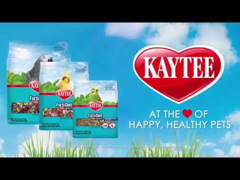 Load and play video in Gallery viewer, Kaytee Forti-Diet Pro Health Conure &amp; Lovebird Food
