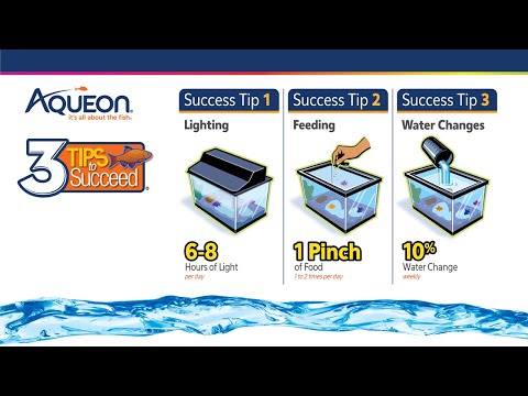 Load and play video in Gallery viewer, Aqueon Aquarium Plant Food
