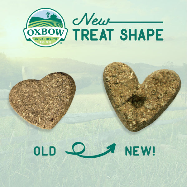 Oxbow Simple Rewards Baked Treat Peppermint 2 oz
