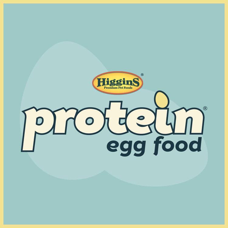 Higgins Protein Egg Food for Parakeets / Parrots / Finch & Canary
