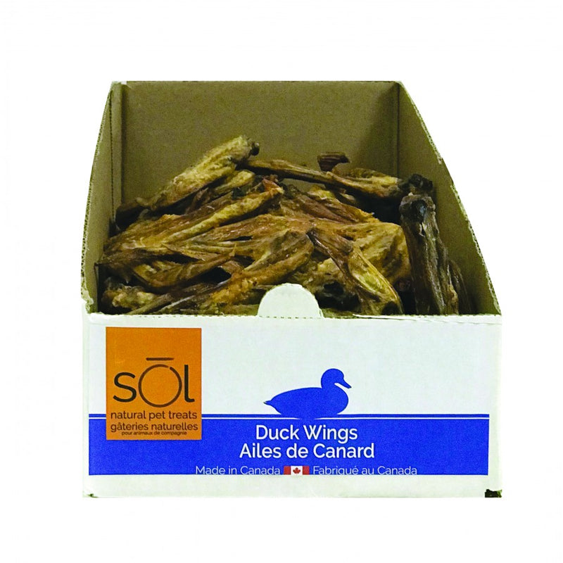 Sol Duck Wings
