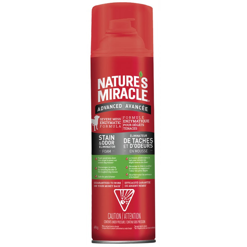 Nature's Miracle Advanced Stain & Odor Eliminator Foam 17.5 oz - Exotic Wings and Pet Things
