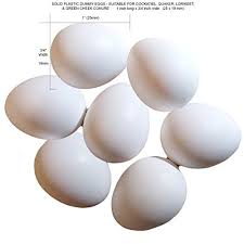 2GR Fake Dummy Training Bird Eggs - Canaries - Parrot - Parakeet -  Pigeon - Hen
