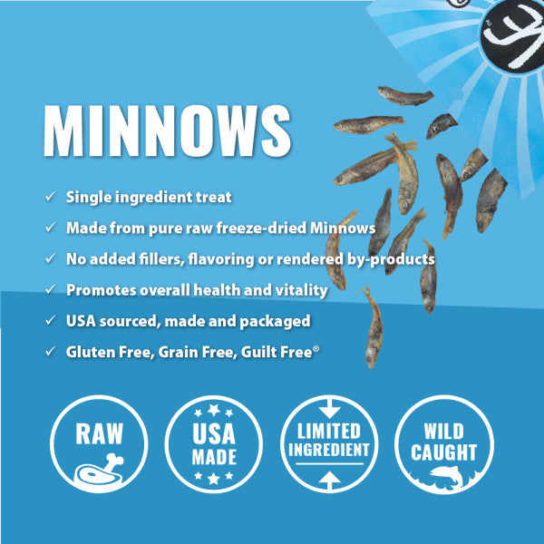 Minnows sales for dogs