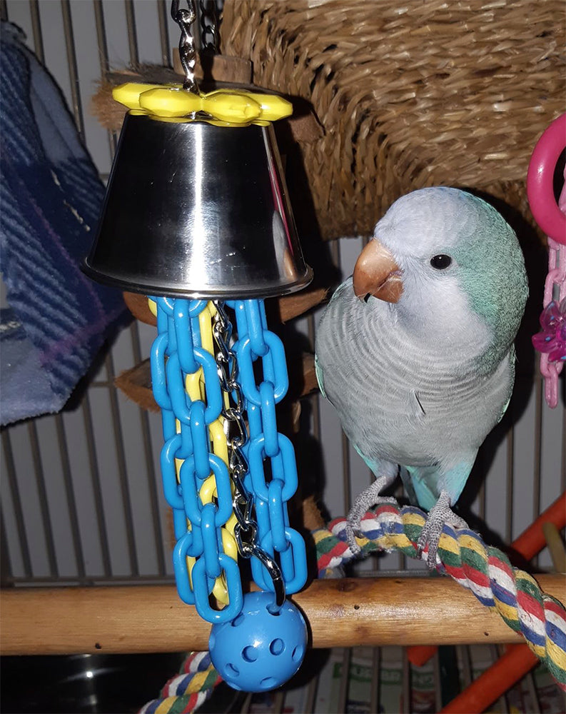 Billy Bird Toys Cup 'n' Chain Stainless Steel Medium Parrot Enrichment - 402 🍁
