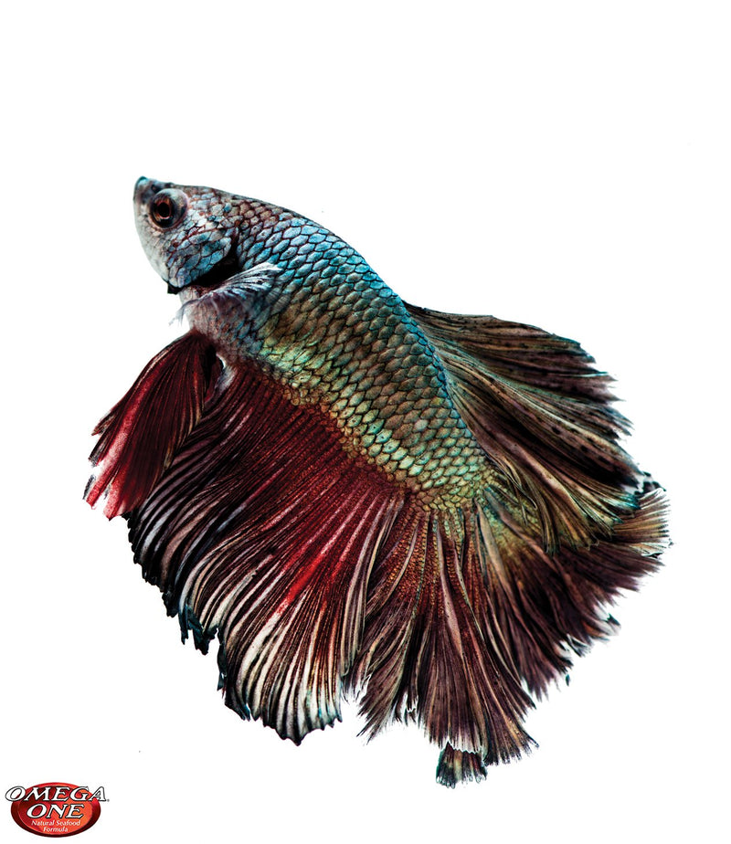 Omega One Betta Buffet Flakes 0.28oz/7g
