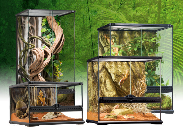 Natural Reptile Terrarium - 18