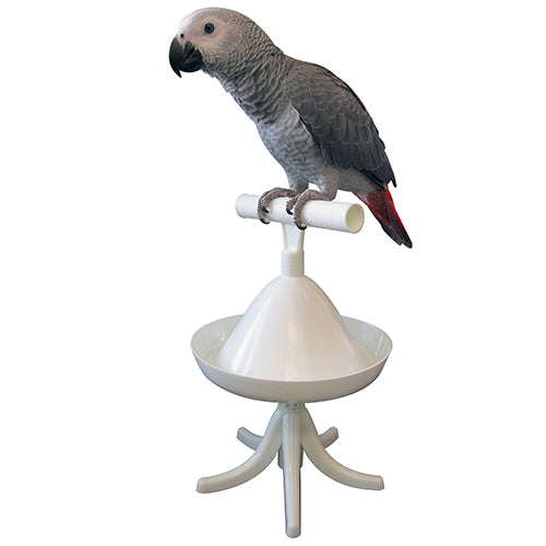 Caitec Percher For Birds - Exotic Wings and Pet Things
