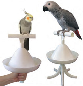 Caitec Percher For Birds - Exotic Wings and Pet Things
