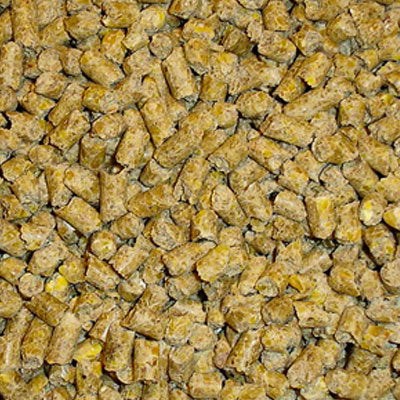 Pigeon Pellets by Conestogo Bird Seed Company 25 kg - Exotic Wings and Pet Things
