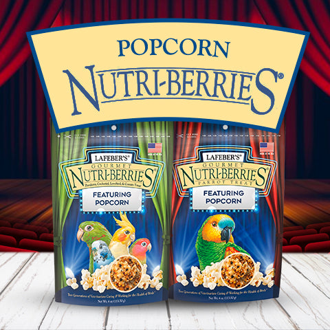 Lafeber's Popcorn Nutri-Berries - Parrot
