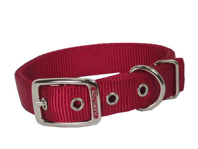 Hamilton Double Thick Nylon Collar w Buckle - Standard Series 1