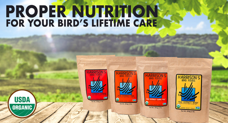 Harrison's High Potency Fine Pepper Bird Pellet
