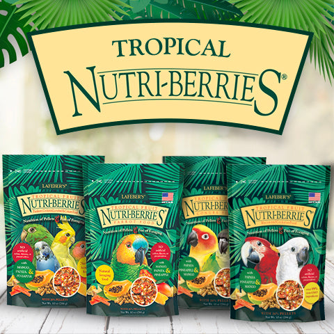 Lafeber's Tropical Fruit Gourmet Nutri-Berries Small Bird
