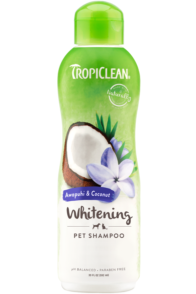 TropiClean Awapuhi & Coconut Whitening Shampoo 20 oz - Exotic Wings and Pet Things
