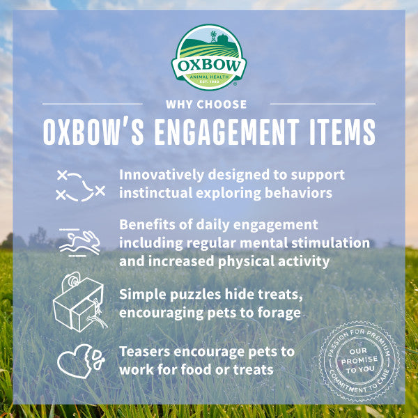 Oxbow Enriched Life Play Garden
