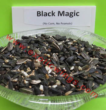 Black Magic Wild Bird Seed by Conestogo Bird Seed Company - Exotic Wings and Pet Things
